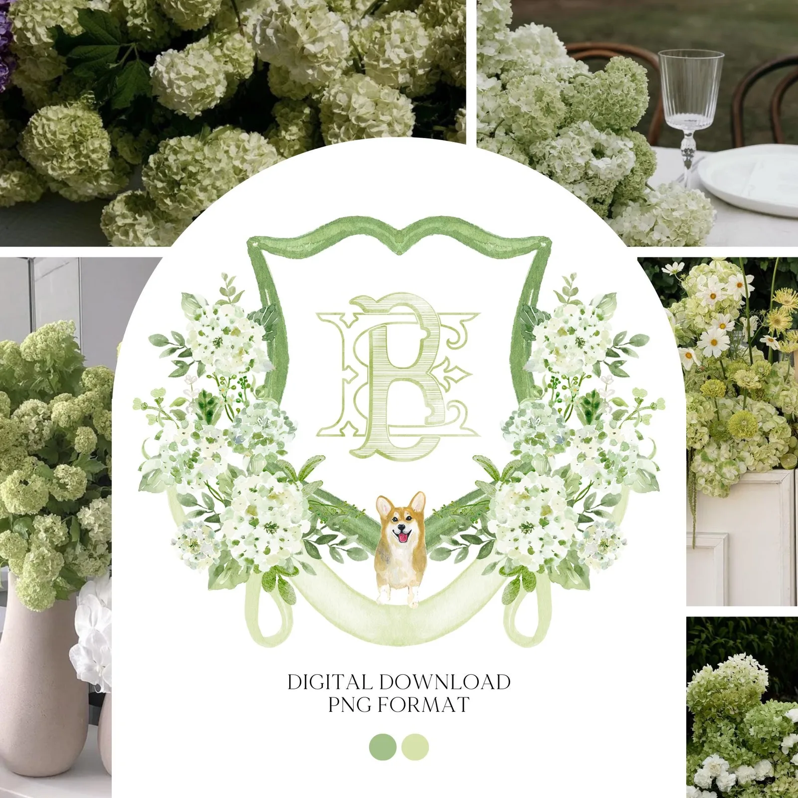 Green Hydrangea Flower Wedding Crest - Monogram Crest - Hydrangea White Floral Luxury Watercolor Wedding Crest - Romantic Wedding Crest