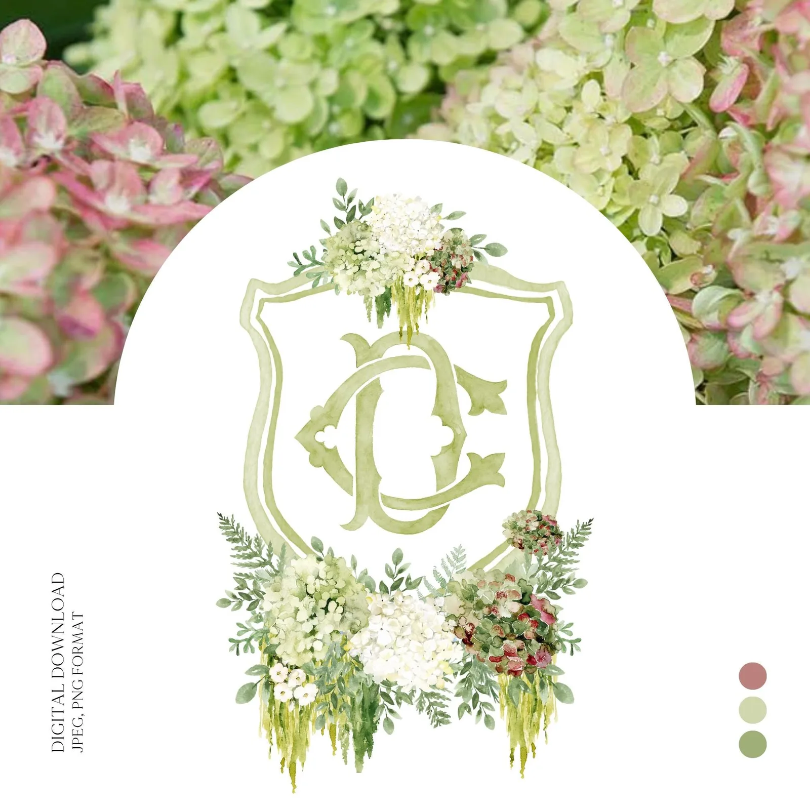Hydrangea Macrophylla Green Flower Wedding Crest