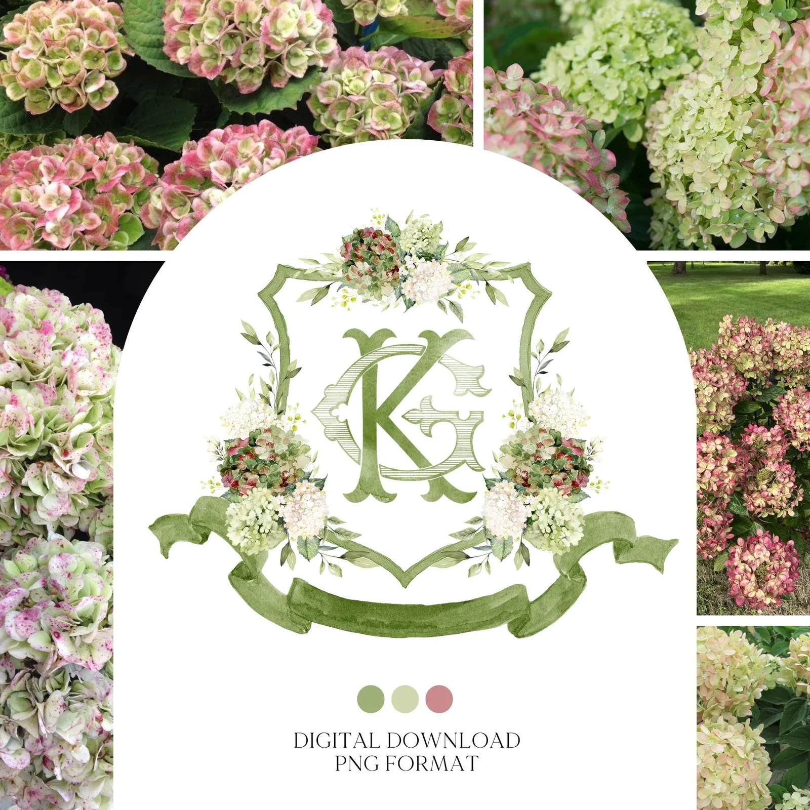 Hydrangea Macrophylla Green Flower Wedding Crest