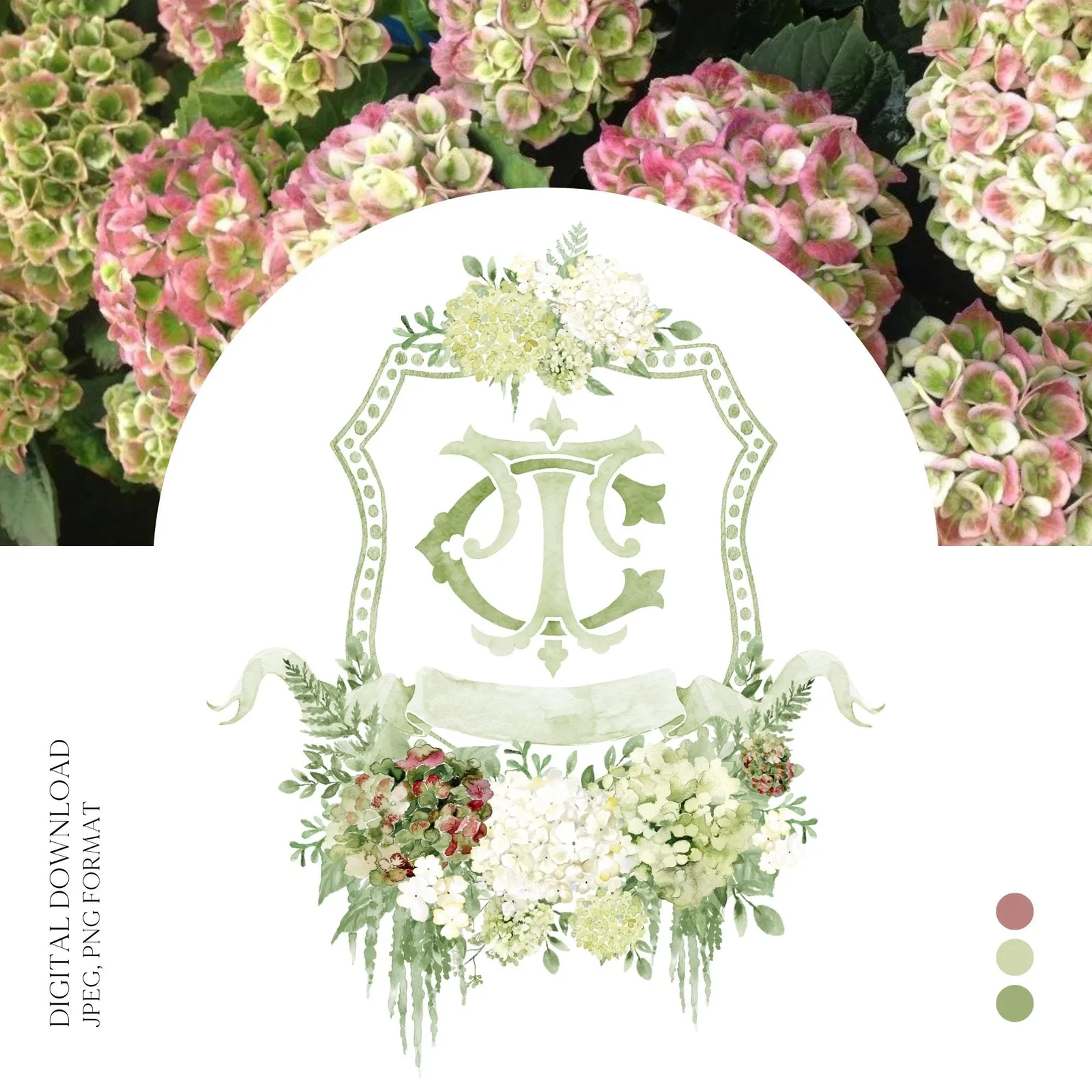 Hydrangea Macrophylla Green Flower Wedding Crest, Monogram Crest, Lush bright Greenery Floral Watercolor Wedding Crest, Hydrangea Crest